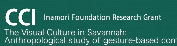 サヴァンナの視覚文化：ブッシュマン社会におけるジェスチャー・コミュニケーションに関する人類学的研究