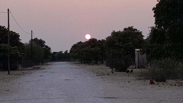 高田 明 教授 ボツワナ派遣報告(2025/08/07-2025/09/06)